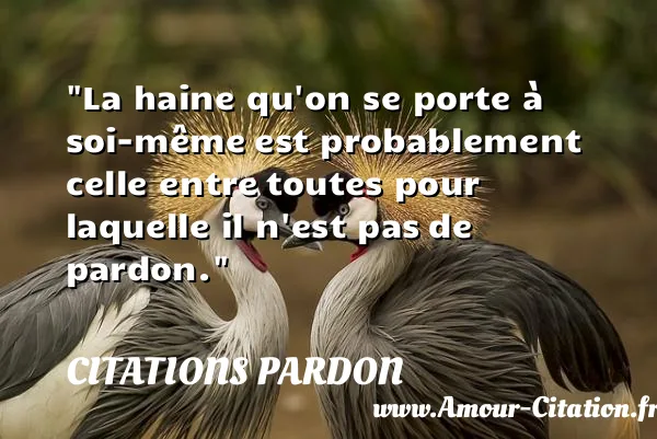 La haine qu on se porte à soi-même est probablement celle entre toutes pour laquelle il n est pas de pardon. CITATIONS PARDON
