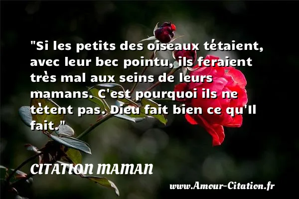 Si les petits des oiseaux tétaient, avec leur bec pointu, ils feraient très mal aux seins de leurs mamans. C est pourquoi ils ne tètent pas. Dieu fait bien ce qu Il fait.  CITATION MAMAN
