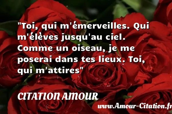 Toi, qui m émerveilles. Qui m élèves jusqu au ciel. Comme un oiseau, je me poserai dans tes lieux. Toi, qui m attires  CITATION AMOUR