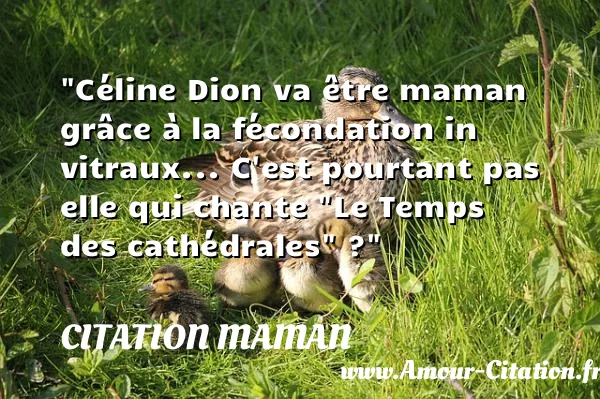 Céline Dion va être maman grâce à la fécondation in vitraux... C est pourtant pas elle qui chante Le Temps des cathédrales ? CITATION MAMAN