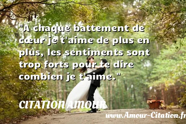 A chaque battement de cœur je t aime de plus en plus, les sentiments sont trop forts pour te dire combien je t aime. CITATION AMOUR