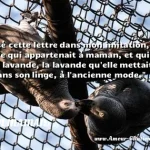  J ai glissé cette lettre dans mon imitation, un vieux livre qui appartenait à maman, et qui sent encore la lavande, la lavande qu elle mettait en sachet dans son linge, à l ancienne mode.  CITATION MAMAN