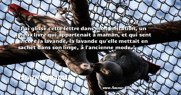 J ai glissé cette lettre dans mon imitation, un vieux livre qui appartenait à maman, et qui sent encore la lavande, la lavande qu elle mettait en sachet dans son linge, à l ancienne mode. CITATION MAMAN