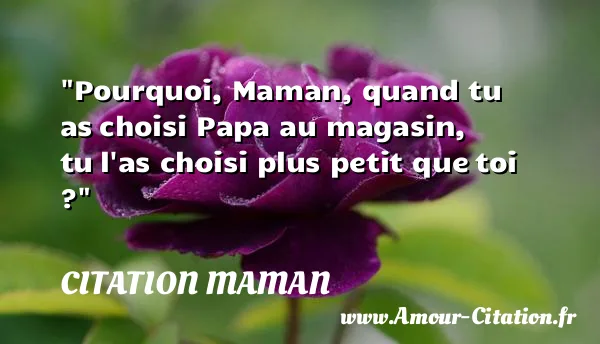Pourquoi, Maman, quand tu as choisi Papa au magasin, tu l as choisi plus petit que toi ?  CITATION MAMAN