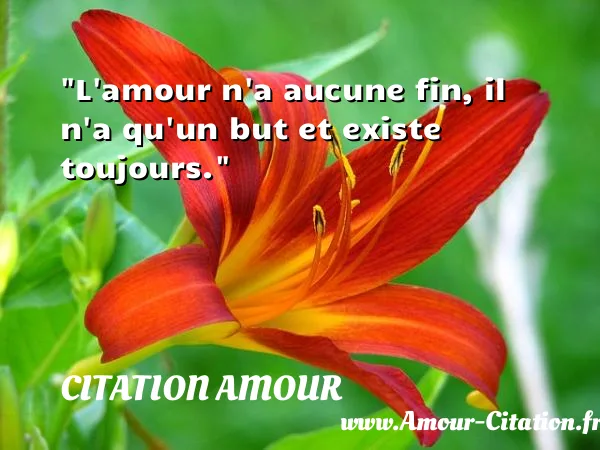 L amour n a aucune fin, il n a qu un but et existe toujours.  CITATION AMOUR