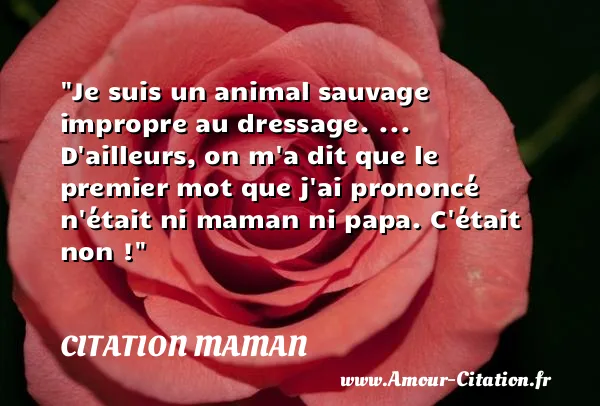 Je suis un animal sauvage impropre au dressage. ... D ailleurs, on m a dit que le premier mot que j ai prononcé n était ni maman ni papa. C était non ! CITATION MAMAN