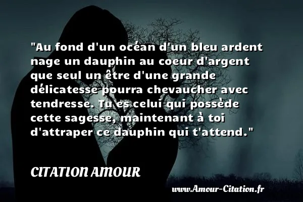 Au fond d un océan d un bleu ardent nage un dauphin au coeur d argent que seul un être d une grande délicatesse pourra chevaucher avec tendresse. Tu es celui qui possède cette sagesse, maintenant à toi d attraper ce dauphin qui t attend.  CITATION AMOUR
