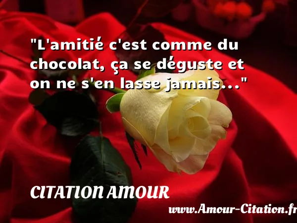 L amitié c est comme du chocolat, ça se déguste et on ne s en lasse jamais...  CITATION AMOUR