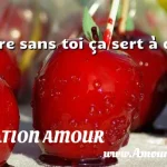  Vivre sans toi ça sert à quoi ?  CITATION AMOUR