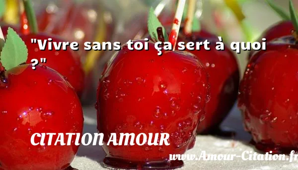 Vivre sans toi ça sert à quoi ?  CITATION AMOUR