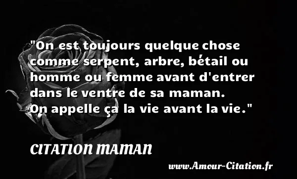 On est toujours quelque chose comme serpent, arbre, bétail ou homme ou femme avant d entrer dans le ventre de sa maman. On appelle ça la vie avant la vie. CITATION MAMAN