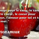  Le rouge pour le sang, le sang pour le coeur, le coeur pour l amour, l amour pour toi et toi pour moi.  CITATION AMOUR