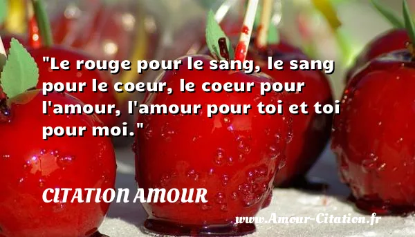 Le rouge pour le sang, le sang pour le coeur, le coeur pour l amour, l amour pour toi et toi pour moi.  CITATION AMOUR