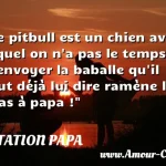  Le pitbull est un chien avec lequel on n a pas le temps d envoyer la baballe qu il faut déjà lui dire ramène le bras à papa !  CITATION PAPA