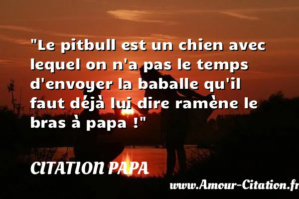 Le pitbull est un chien avec lequel on n a pas le temps d envoyer la baballe qu il faut déjà lui dire ramène le bras à papa ! CITATION PAPA