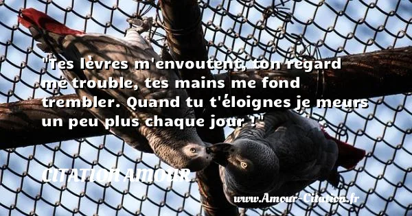 Tes lèvres m envoutent, ton regard me trouble, tes mains me fond trembler. Quand tu t éloignes je meurs un peu plus chaque jour !  CITATION AMOUR