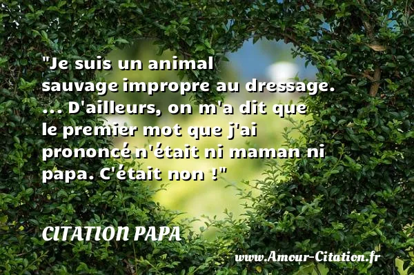 Je suis un animal sauvage impropre au dressage. ... D ailleurs, on m a dit que le premier mot que j ai prononcé n était ni maman ni papa. C était non !  CITATION PAPA