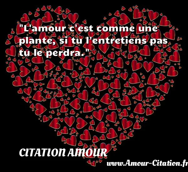 L amour c est comme une plante, si tu l entretiens pas tu le perdra.  CITATION AMOUR