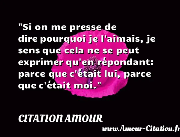 Si on me presse de dire pourquoi je l aimais, je sens que cela ne se peut exprimer qu en répondant: parce que c était lui, parce que c était moi. CITATION AMOUR