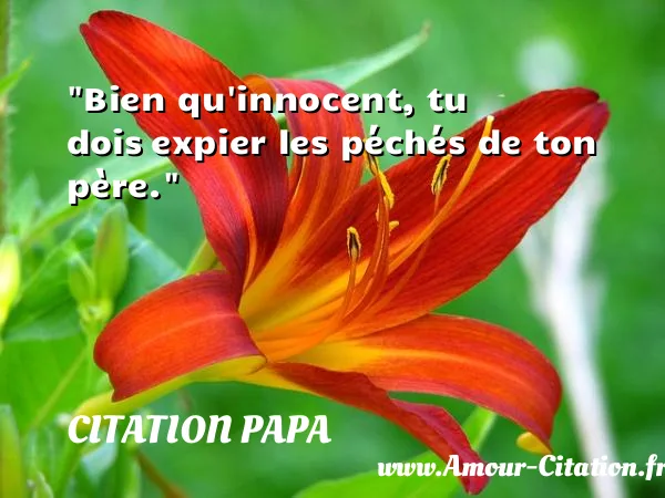 Bien qu innocent, tu dois expier les péchés de ton père.  CITATION PAPA