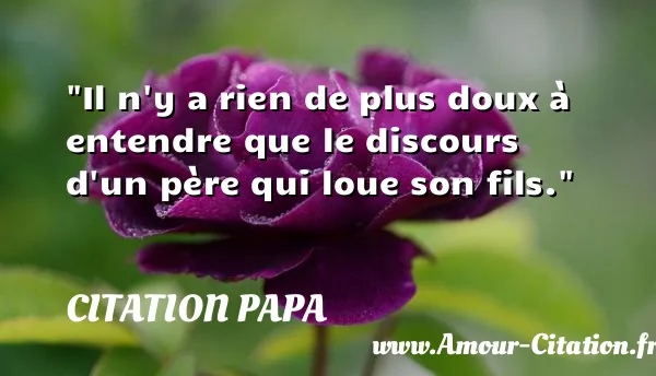 Il n y a rien de plus doux à entendre que le discours d un père qui loue son fils.  CITATION PAPA