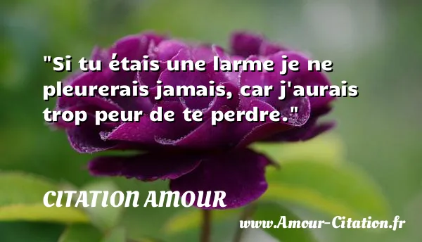 Si tu étais une larme je ne pleurerais jamais, car j aurais trop peur de te perdre.  CITATION AMOUR