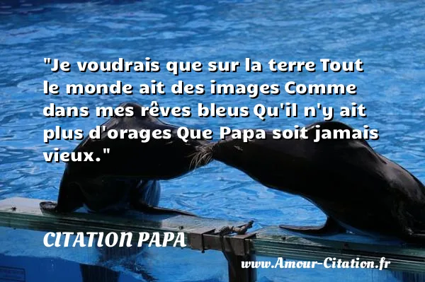 Je voudrais que sur la terre Tout le monde ait des images Comme dans mes rêves bleus Qu il n y ait plus d orages Que Papa soit jamais vieux. CITATION PAPA