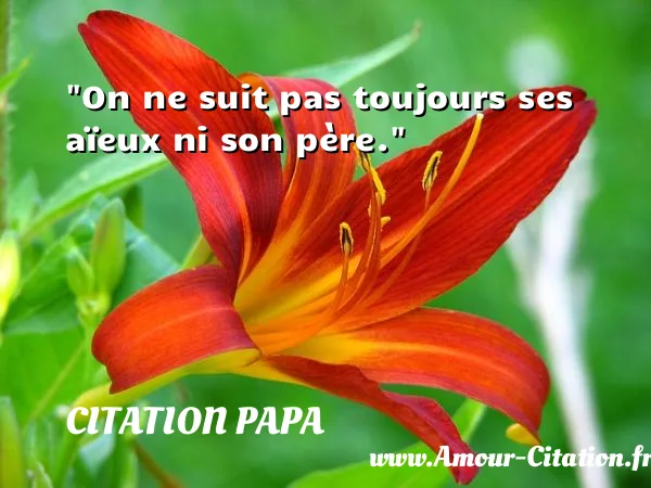 On ne suit pas toujours ses aïeux ni son père. CITATION PAPA