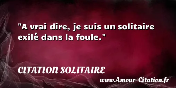 A vrai dire, je suis un solitaire exilé dans la foule. CITATION SOLITAIRE
