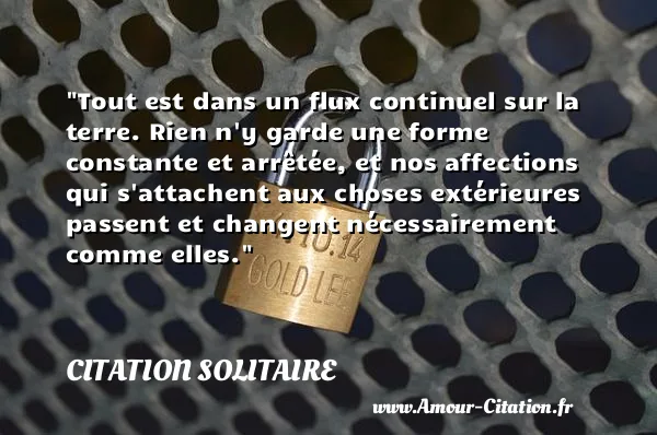 Tout est dans un flux continuel sur la terre. Rien n y garde une forme constante et arrêtée, et nos affections qui s attachent aux choses extérieures passent et changent nécessairement comme elles.  CITATION SOLITAIRE