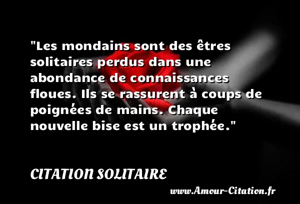 Les mondains sont des êtres solitaires perdus dans une abondance de connaissances floues. Ils se rassurent à coups de poignées de mains. Chaque nouvelle bise est un trophée.  CITATION SOLITAIRE