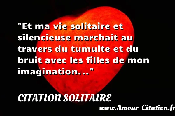 Et ma vie solitaire et silencieuse marchait au travers du tumulte et du bruit avec les filles de mon imagination... CITATION SOLITAIRE