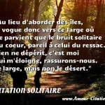  Au lieu d aborder des îles, je vogue donc vers ce large où ne parvient que le bruit solitaire du coeur, pareil à celui du ressac. Rien ne dépérit, c est moi qui m éloigne, rassurons-nous. Le large, mais non le désert.  CITATION SOLITAIRE