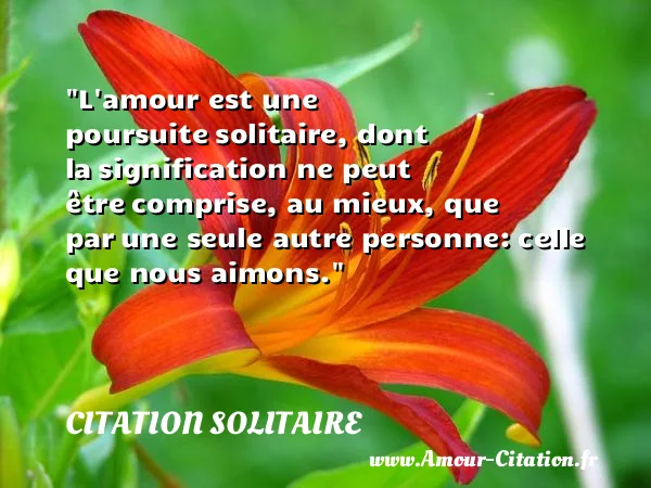 L amour est une poursuite solitaire, dont la signification ne peut être comprise, au mieux, que par une seule autre personne: celle que nous aimons.  CITATION SOLITAIRE