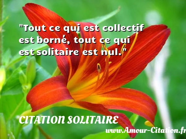 Tout ce qui est collectif est borné, tout ce qui est solitaire est nul.  CITATION SOLITAIRE