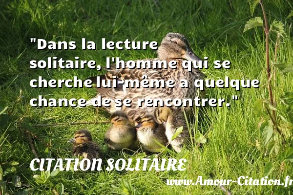 Dans la lecture solitaire, l homme qui se cherche lui-même a quelque chance de se rencontrer. CITATION SOLITAIRE
