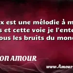  Ta voix est une mélodie à mes oreilles et cette voie je l entends dans tous les bruits du monde.  CITATION AMOUR