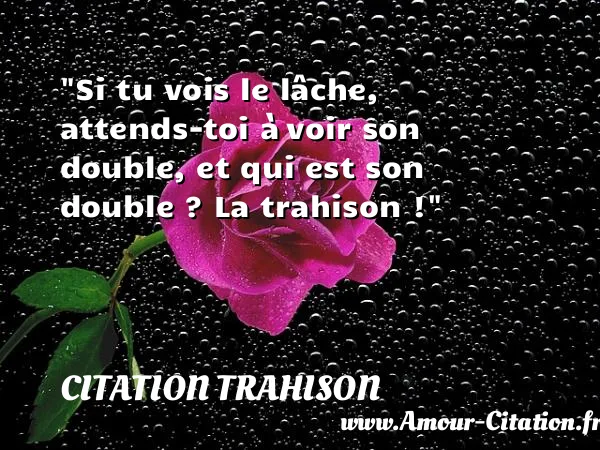 Si tu vois le lâche, attends-toi à voir son double, et qui est son double ? La trahison !  CITATION TRAHISON