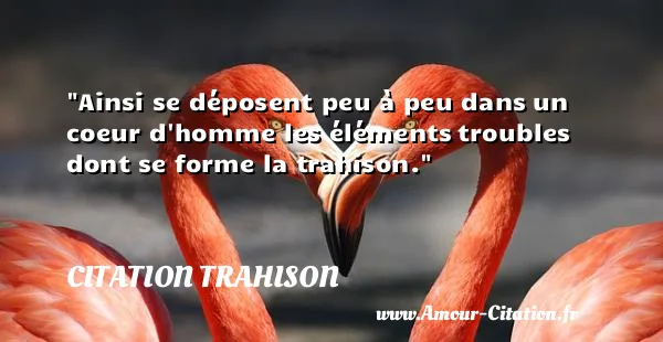 Ainsi se déposent peu à peu dans un coeur d homme les éléments troubles dont se forme la trahison. CITATION TRAHISON