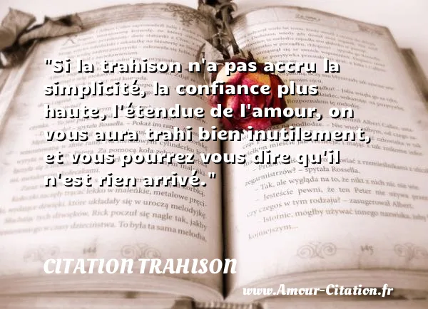 Si la trahison n a pas accru la simplicité, la confiance plus haute, l étendue de l amour, on vous aura trahi bien inutilement, et vous pourrez vous dire qu il n est rien arrivé. CITATION TRAHISON