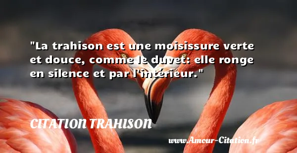 La trahison est une moisissure verte et douce, comme le duvet: elle ronge en silence et par l intérieur.  CITATION TRAHISON