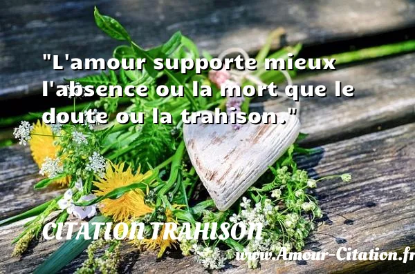 L amour supporte mieux l absence ou la mort que le doute ou la trahison.  CITATION TRAHISON