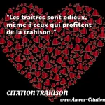  Les traîtres sont odieux, même à ceux qui profitent de la trahison.  CITATION TRAHISON