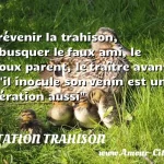  Prévenir la trahison, débusquer le faux ami, le jaloux parent, le traître avant qu il inocule son venin est une opération aussi  CITATION TRAHISON