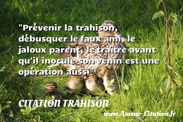 Prévenir la trahison, débusquer le faux ami, le jaloux parent, le traître avant qu il inocule son venin est une opération aussi  CITATION TRAHISON