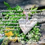  La jalousie est une telle passion, qu il vient un moment où sur la trace d une trahison, on entrevoit, on pressent une telle jouissance dans la vengeance qu on est désappointé de trouver innocente la femme que l on soupçonnait.  CITATION TRAHISON