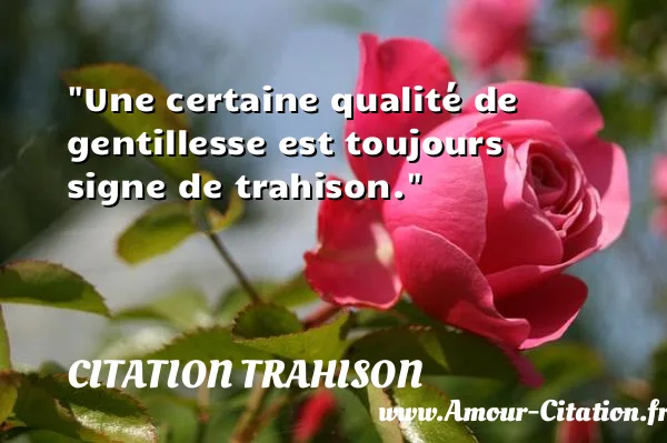 Une certaine qualité de gentillesse est toujours signe de trahison. CITATION TRAHISON