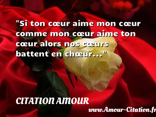 Si ton cœur aime mon cœur comme mon cœur aime ton cœur alors nos cœurs battent en chœur...  CITATION AMOUR