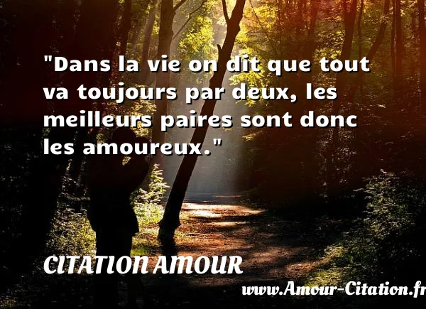 Dans la vie on dit que tout va toujours par deux, les meilleurs paires sont donc les amoureux.  CITATION AMOUR