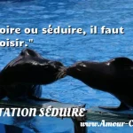  Boire ou séduire, il faut choisir.  CITATION SÉDUIRE